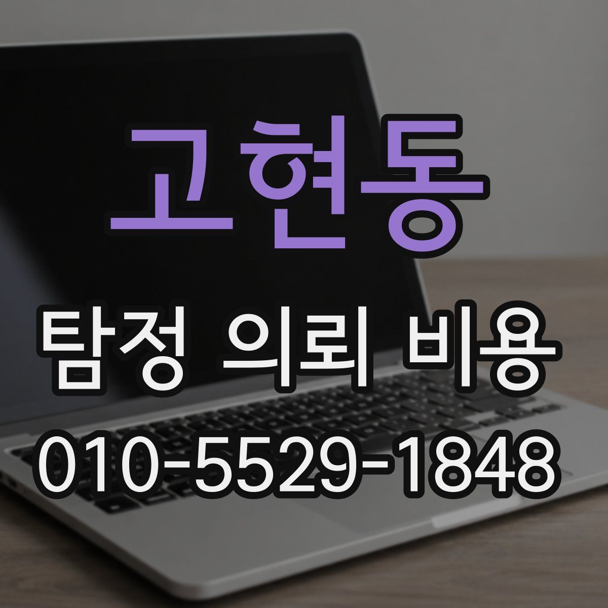 고현동 탐정 의뢰 비용