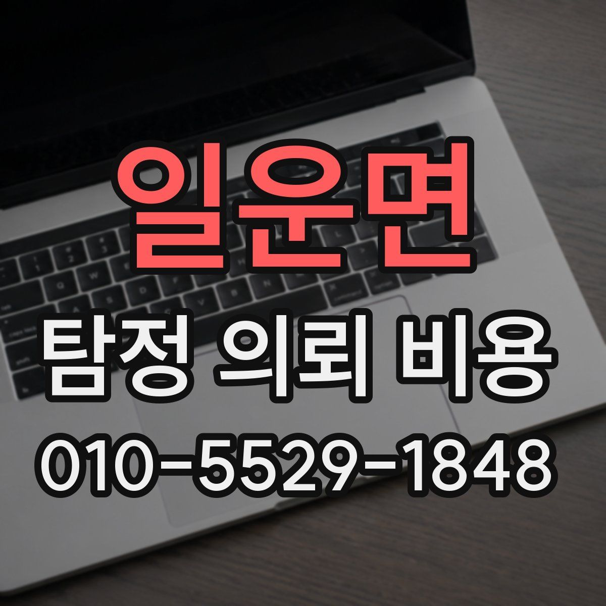 일운면 탐정 의뢰 비용