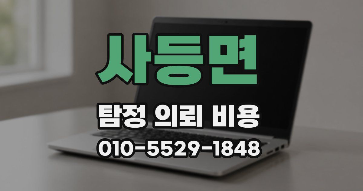 사등면 탐정 의뢰 비용