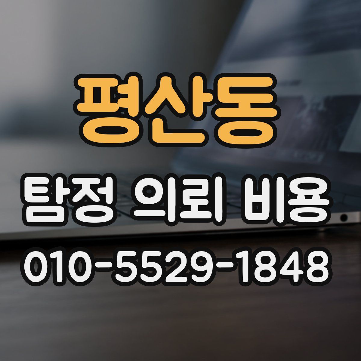 평산동 탐정 의뢰 비용