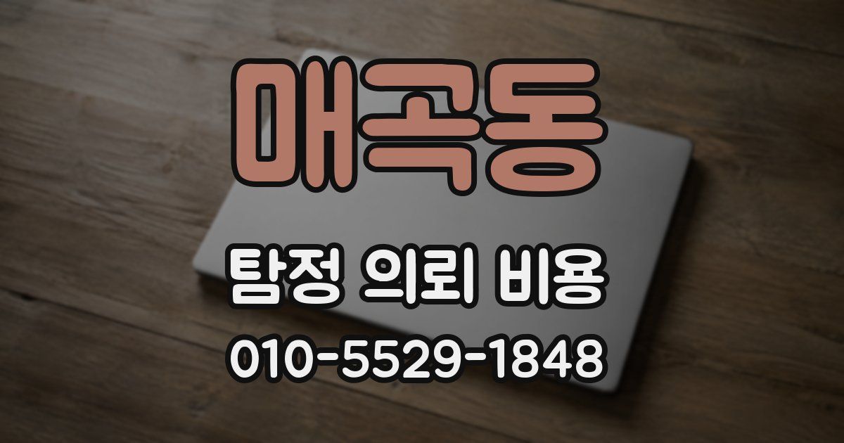매곡동 탐정 의뢰 비용