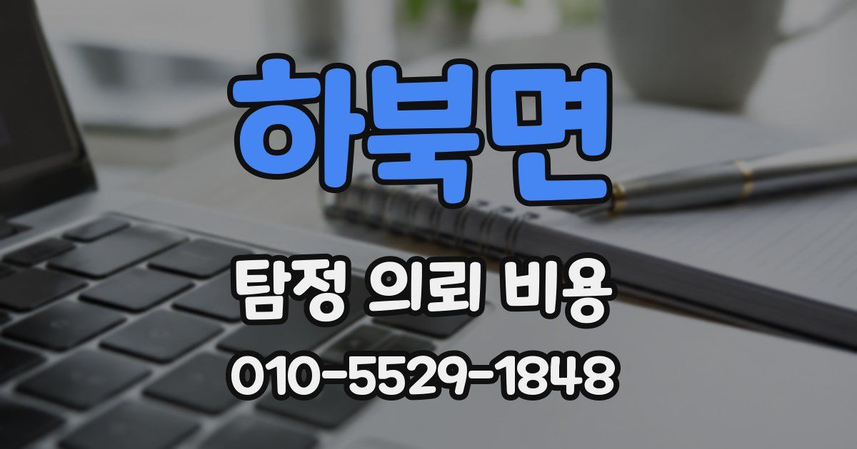 하북면 탐정 의뢰 비용