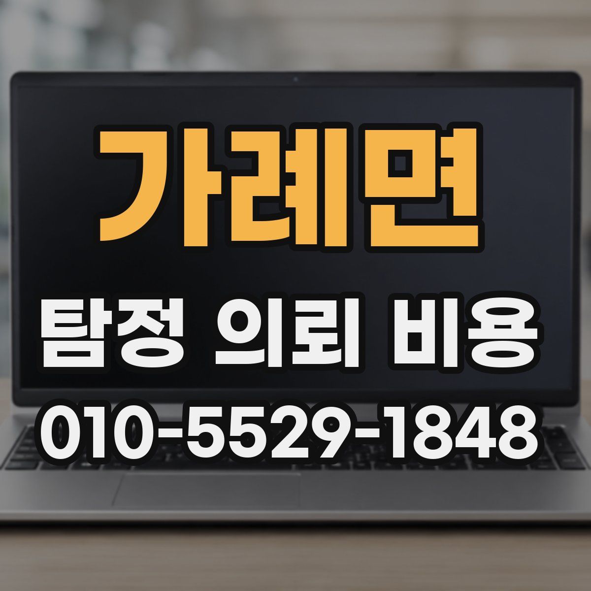가례면 탐정 의뢰 비용