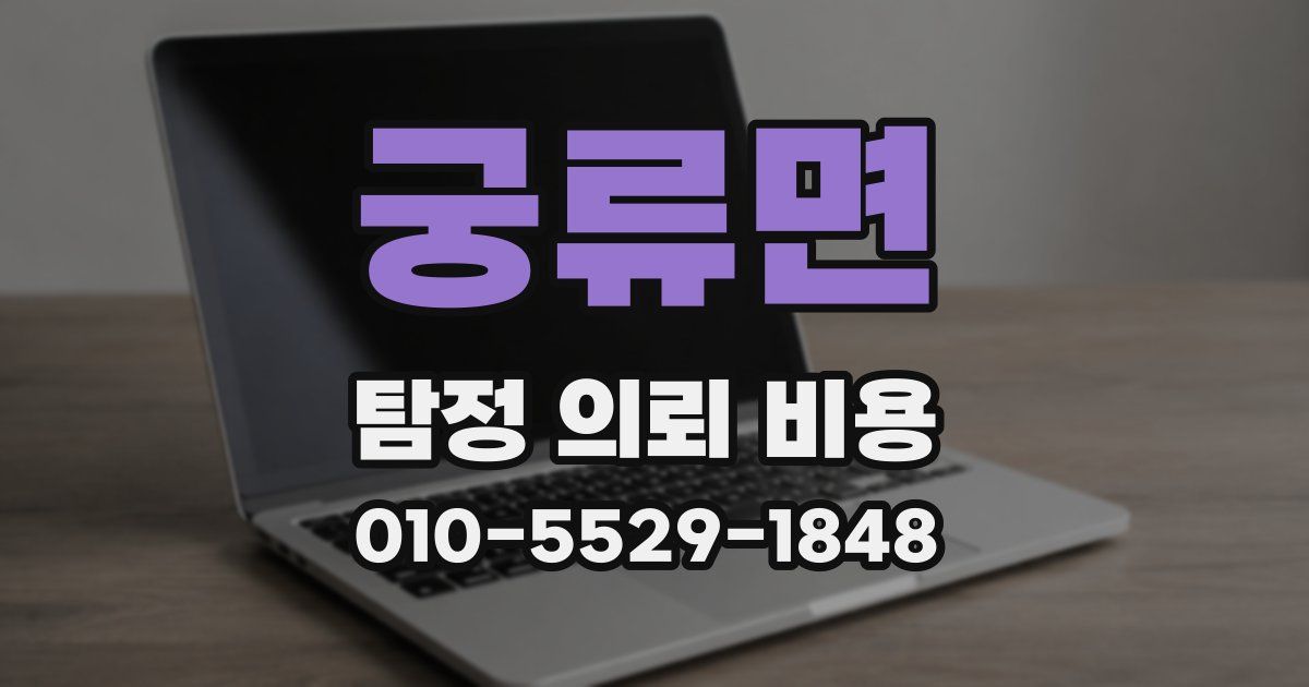 궁류면 탐정 의뢰 비용
