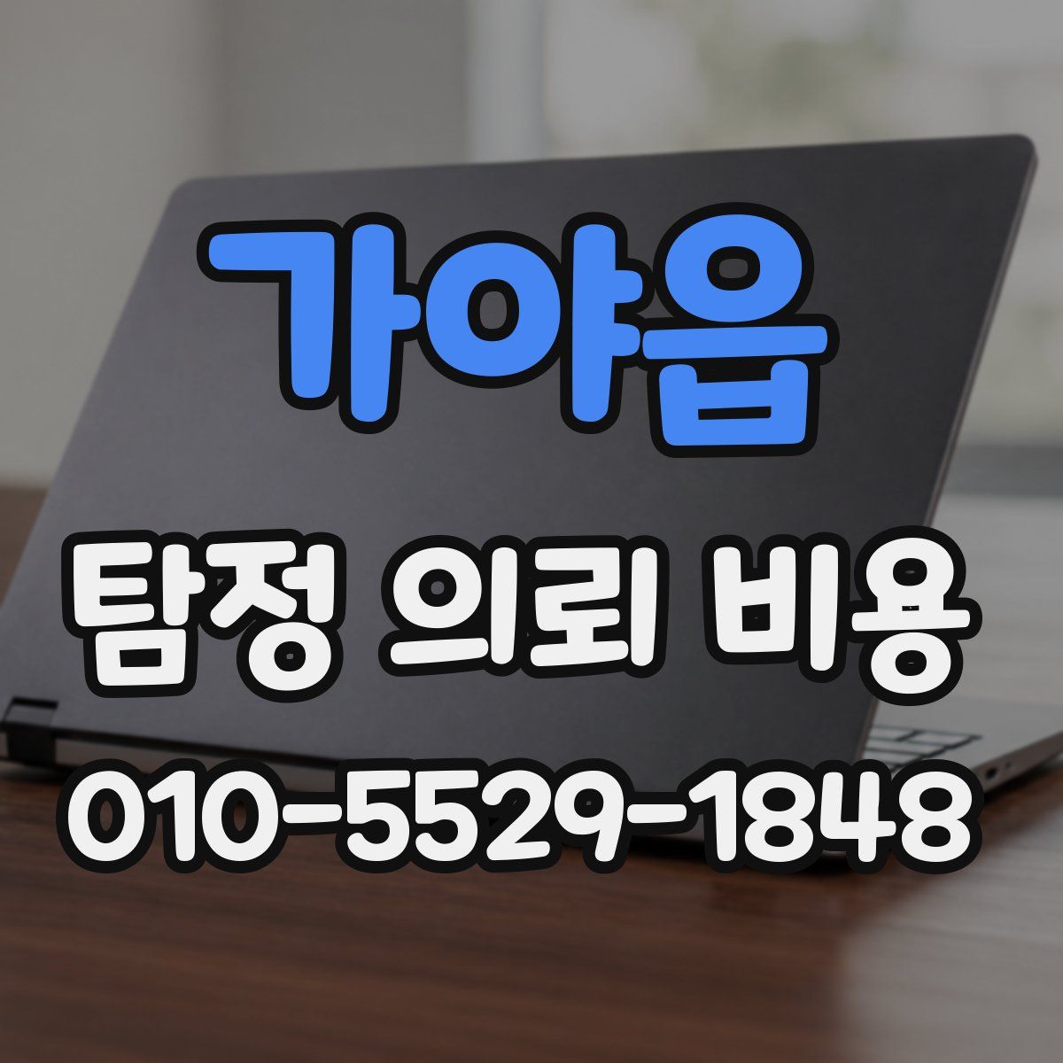 가야읍 탐정 의뢰 비용