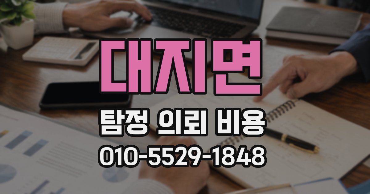 대지면 탐정 의뢰 비용
