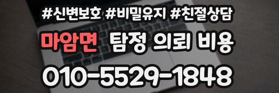 마암면 탐정 의뢰 비용