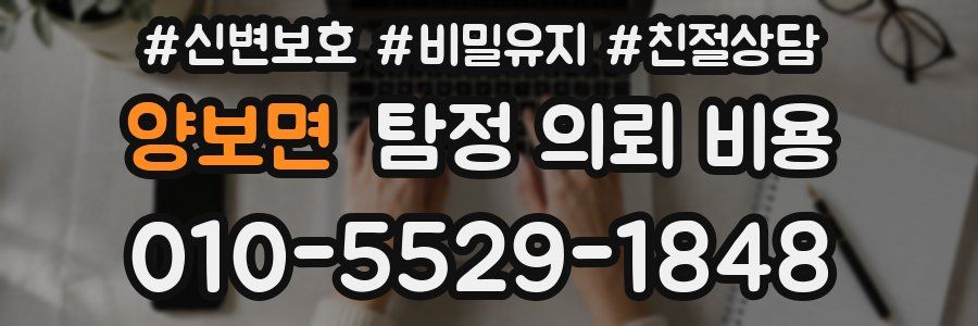 양보면 탐정 의뢰 비용