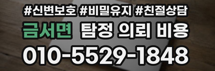 금서면 탐정 의뢰 비용