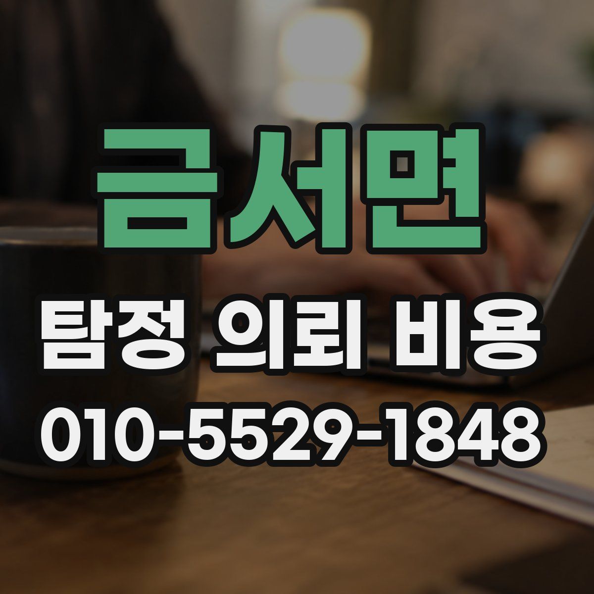 금서면 탐정 의뢰 비용