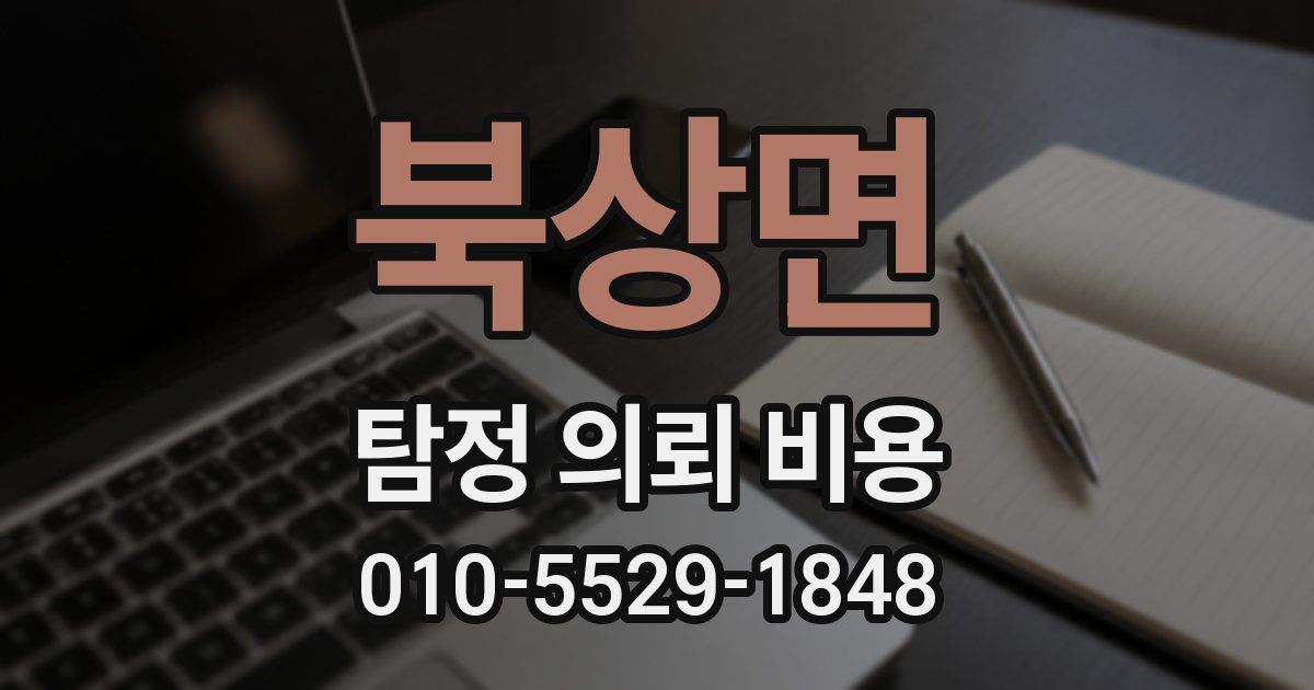 북상면 탐정 의뢰 비용