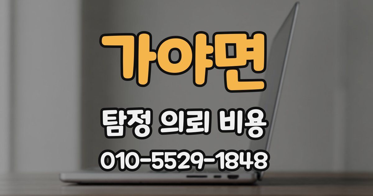 가야면 탐정 의뢰 비용