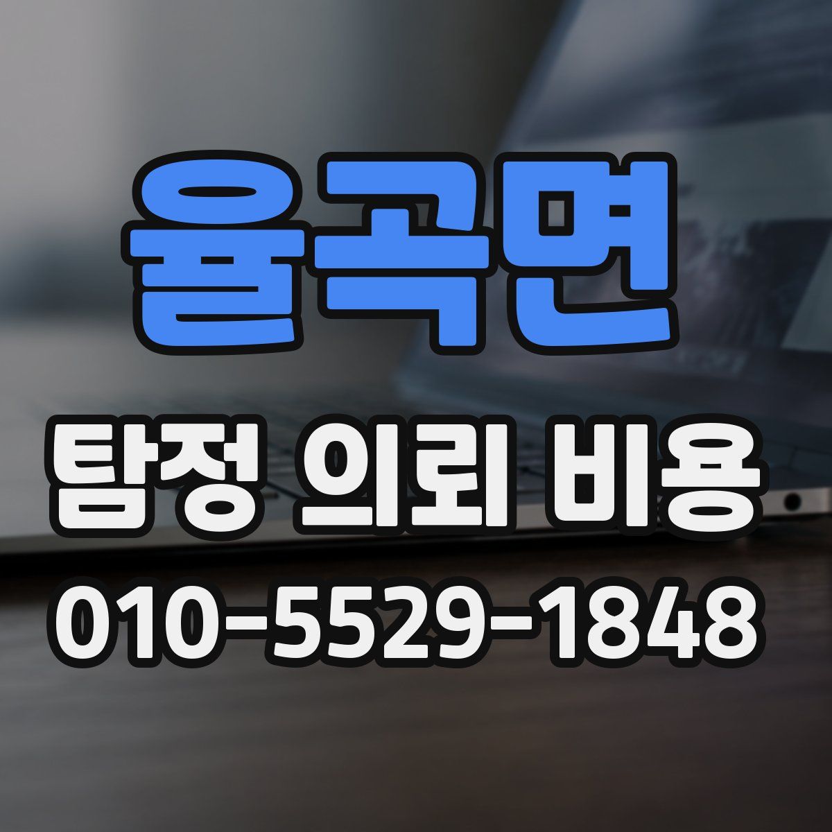 율곡면 탐정 의뢰 비용