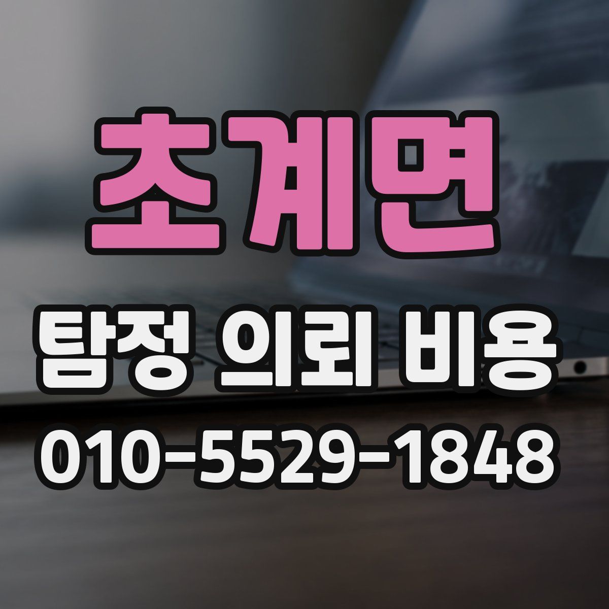 초계면 탐정 의뢰 비용