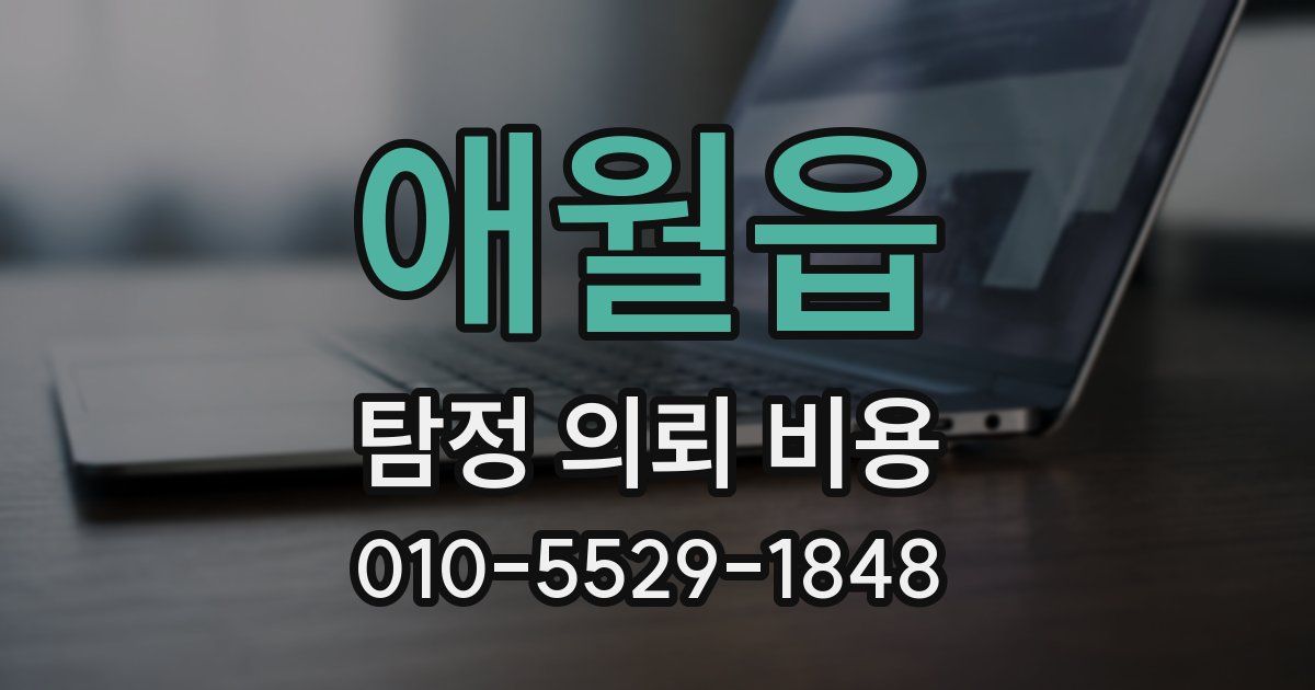애월읍 탐정 의뢰 비용