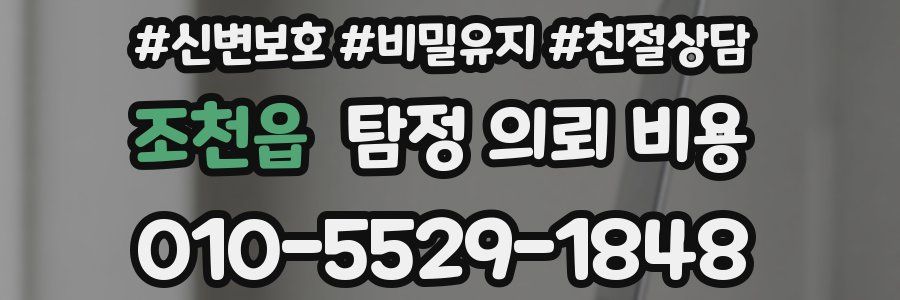 조천읍 탐정 의뢰 비용
