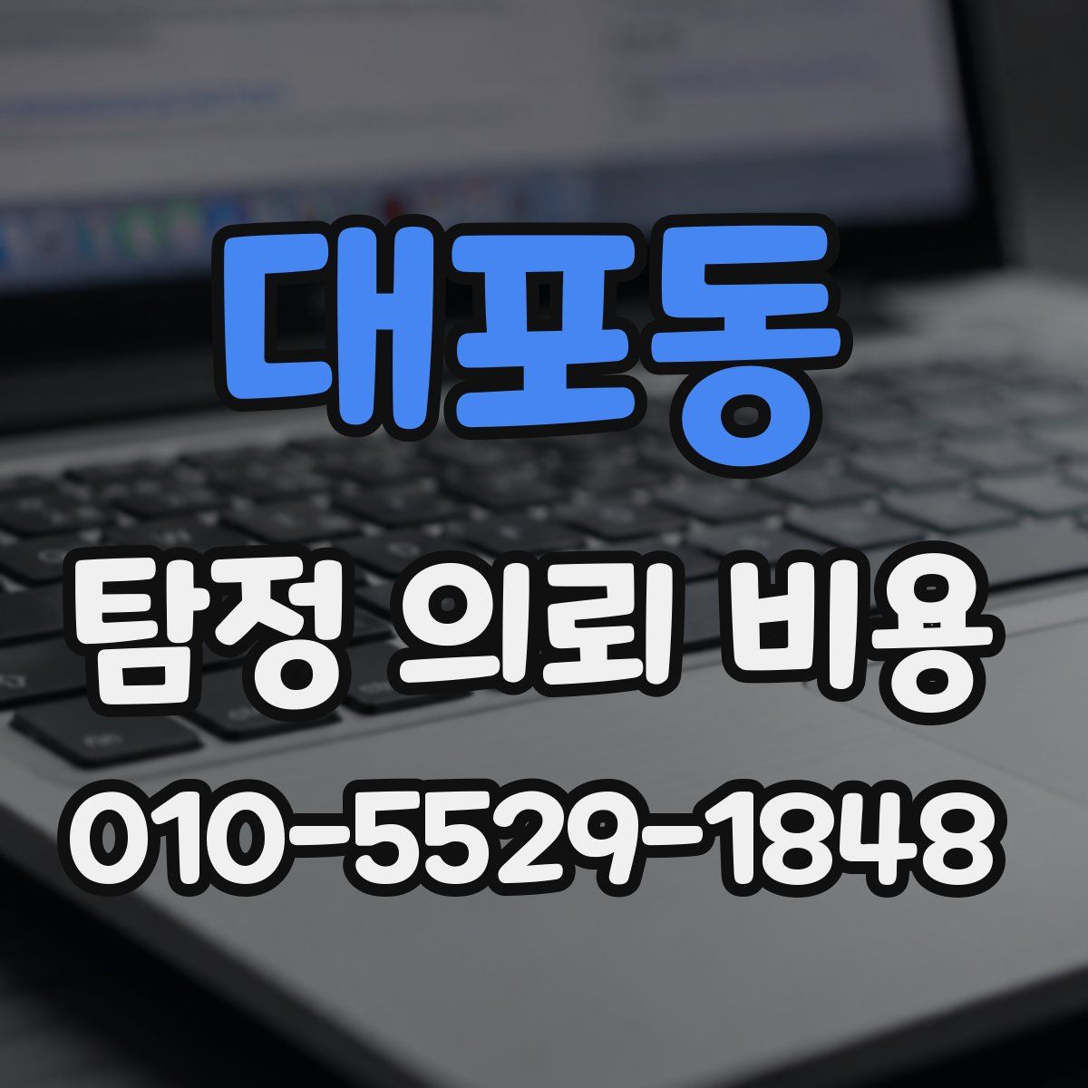 대포동 탐정 의뢰 비용