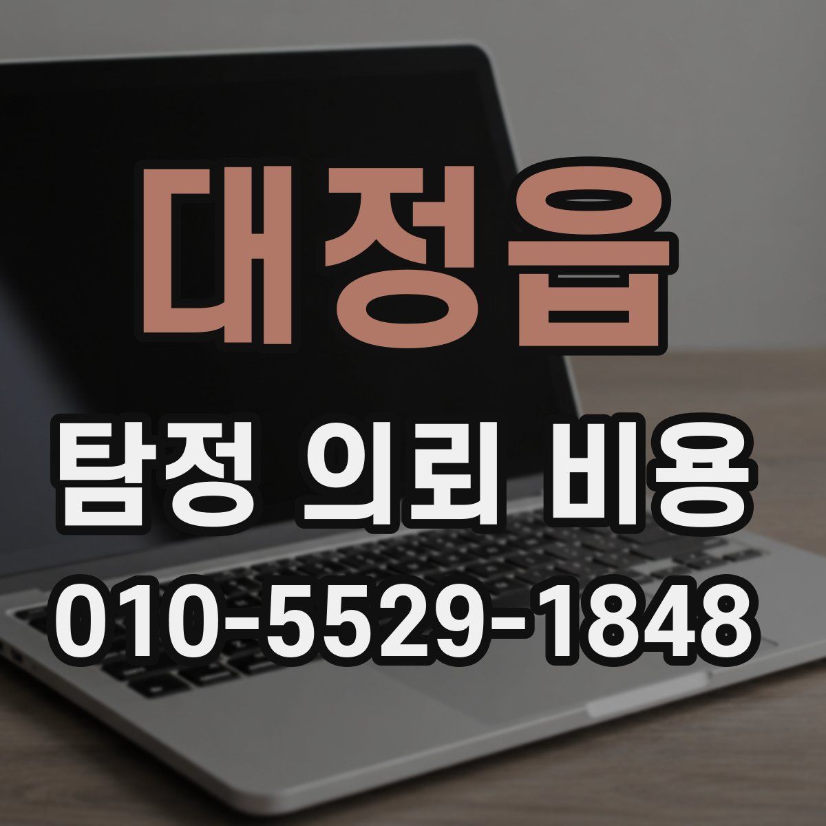 대정읍 탐정 의뢰 비용