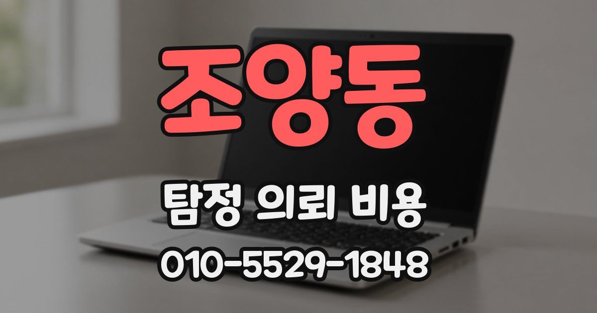 조양동 탐정 의뢰 비용