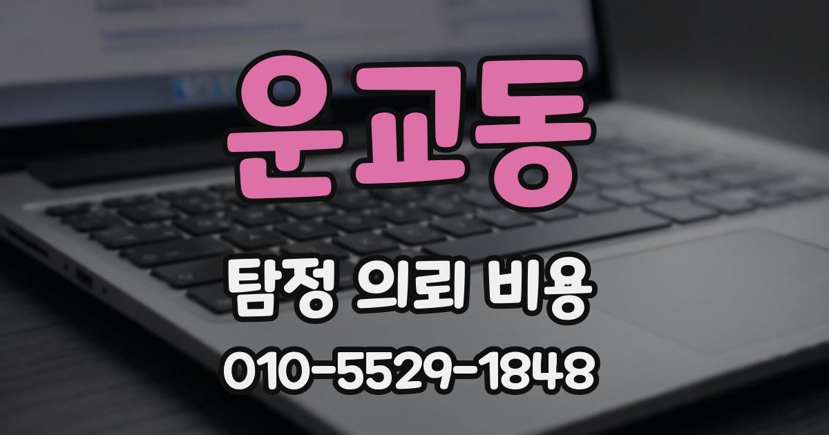 운교동 탐정 의뢰 비용