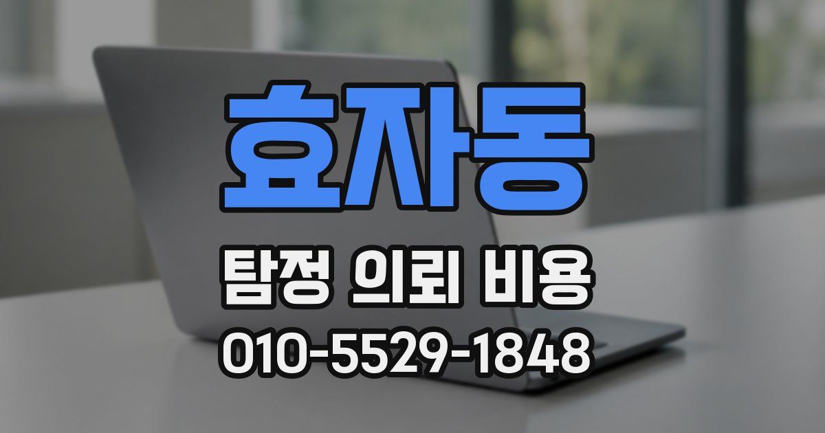 효자동 탐정 의뢰 비용