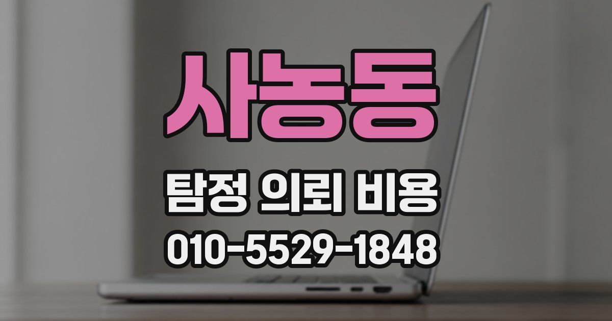 사농동 탐정 의뢰 비용