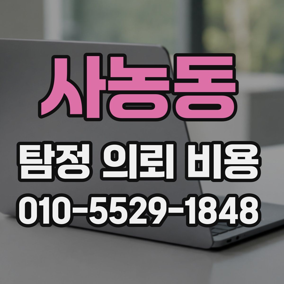 사농동 탐정 의뢰 비용
