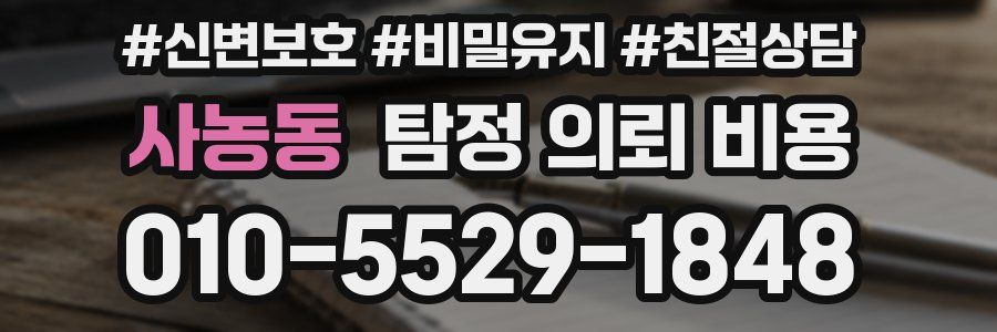사농동 탐정 의뢰 비용