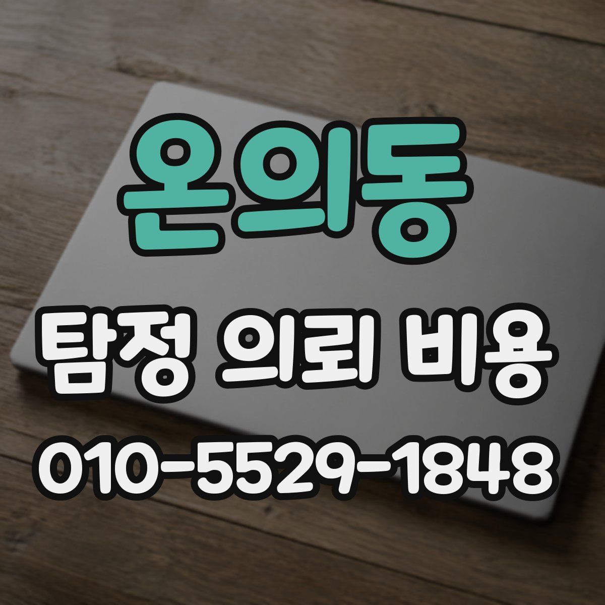 온의동 탐정 의뢰 비용