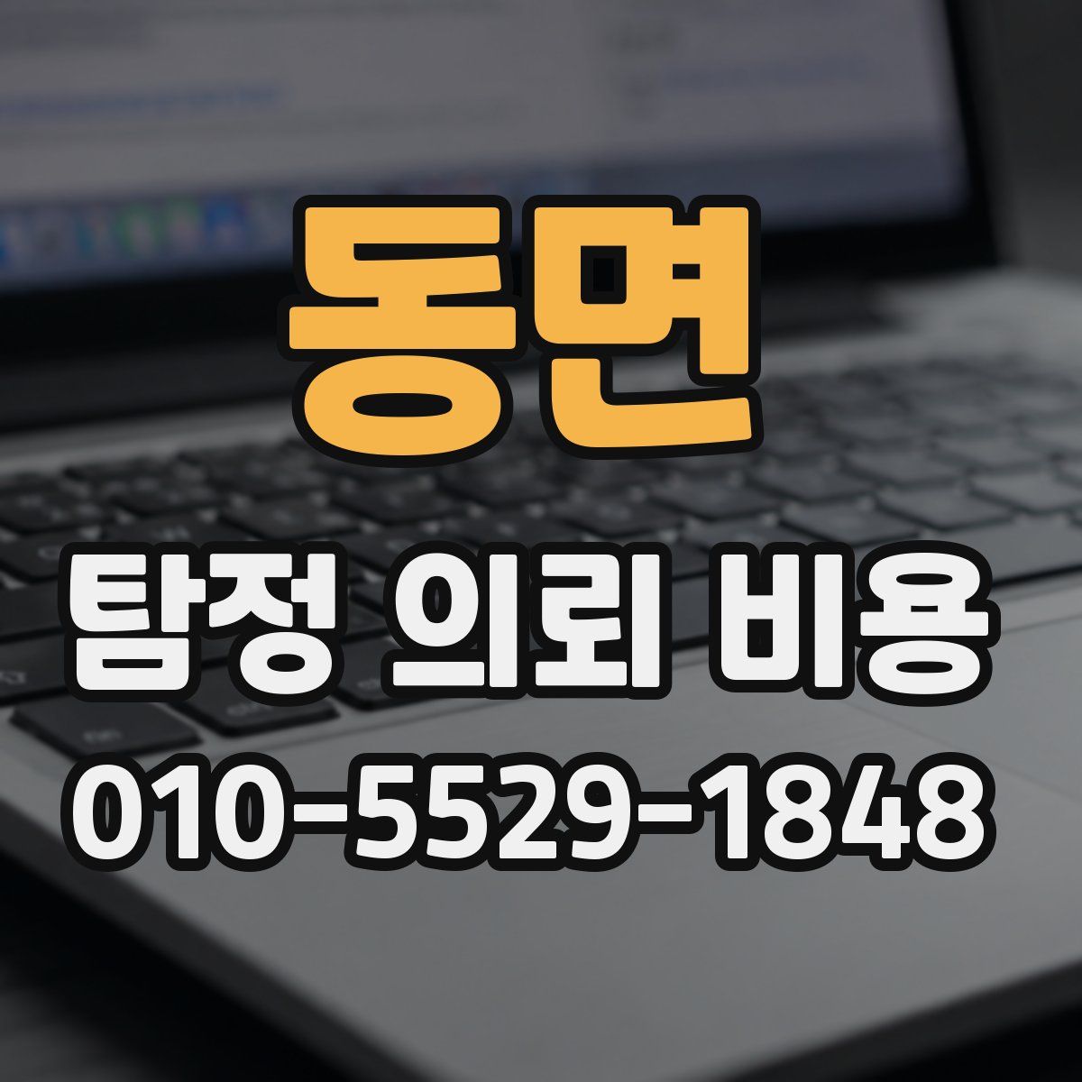 동면 탐정 의뢰 비용