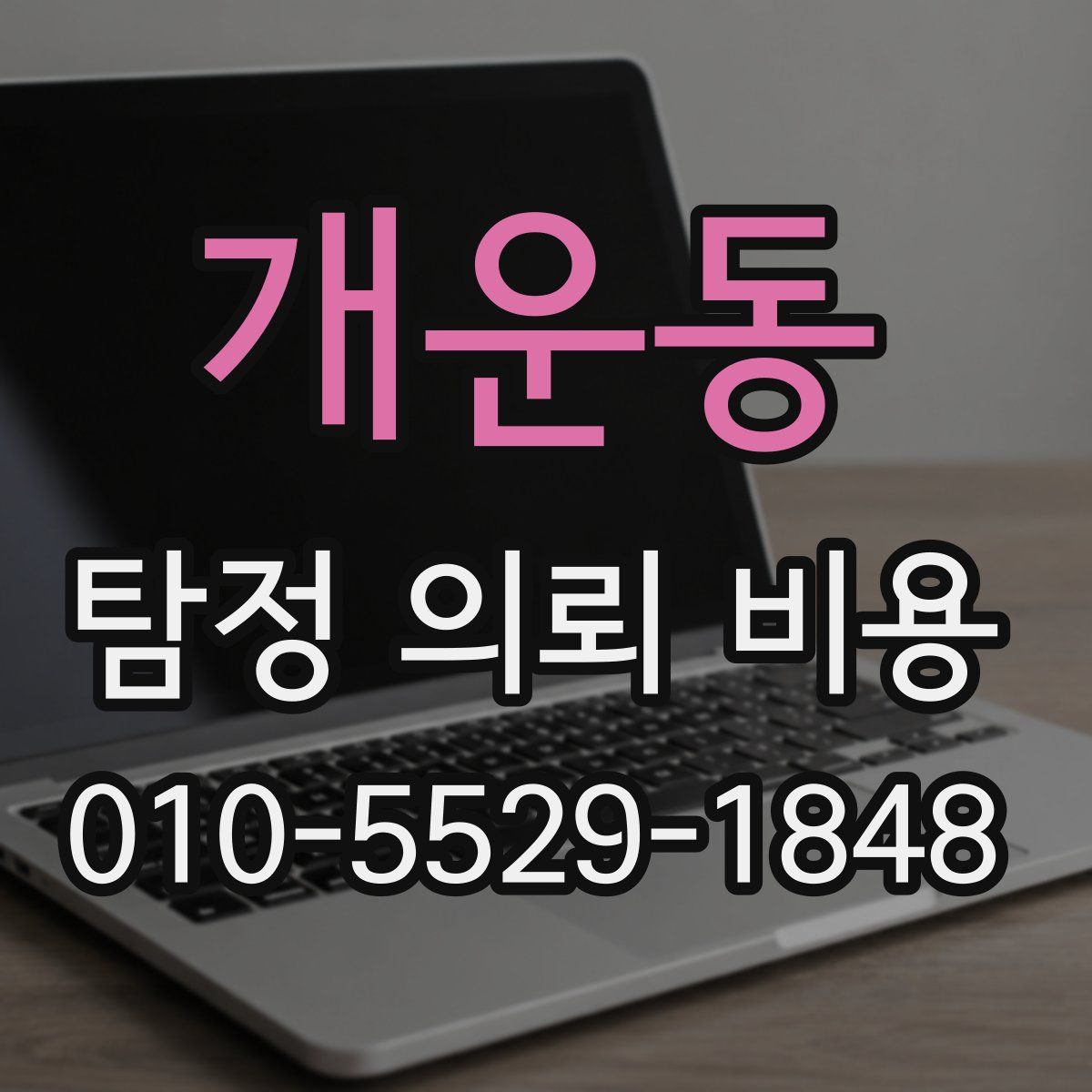 개운동 탐정 의뢰 비용