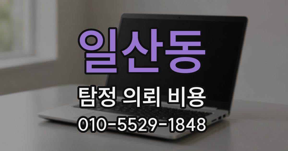 일산동 탐정 의뢰 비용