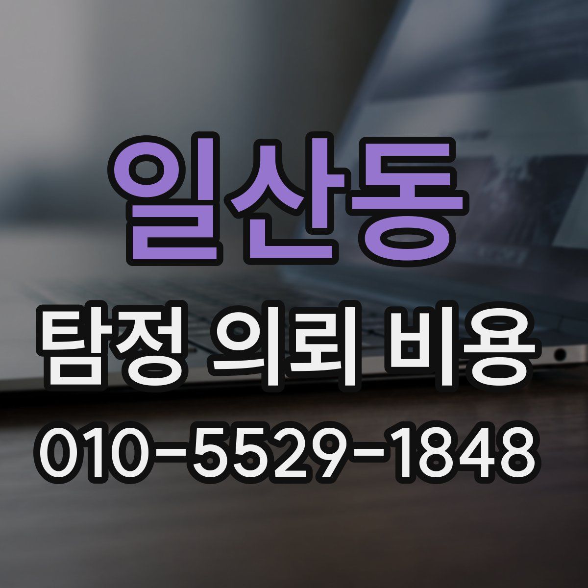 일산동 탐정 의뢰 비용