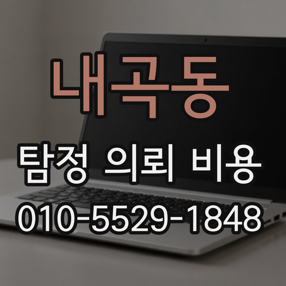 내곡동 탐정 의뢰 비용