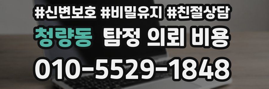청량동 탐정 의뢰 비용