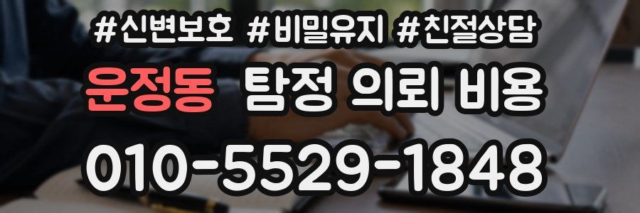 운정동 탐정 의뢰 비용