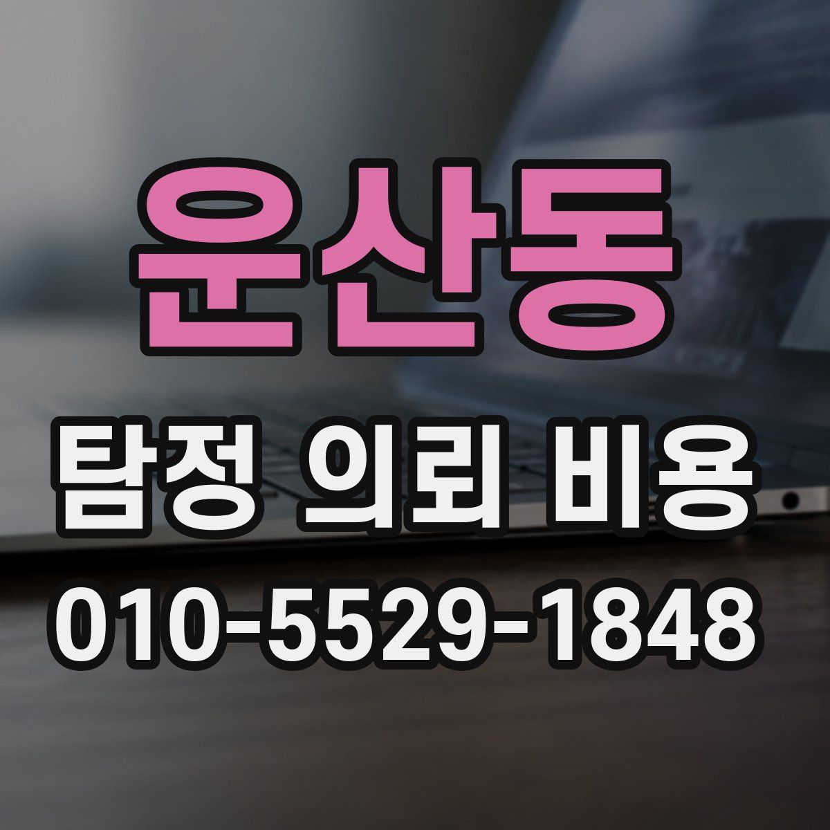 운산동 탐정 의뢰 비용