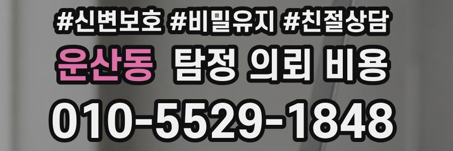 운산동 탐정 의뢰 비용