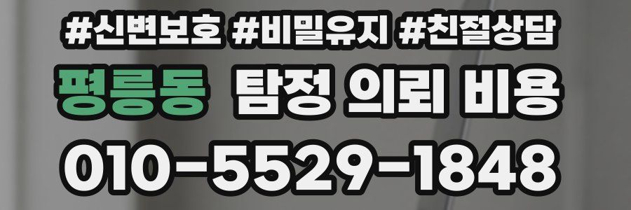 평릉동 탐정 의뢰 비용