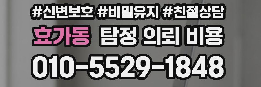 효가동 탐정 의뢰 비용