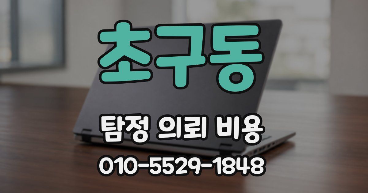 초구동 탐정 의뢰 비용