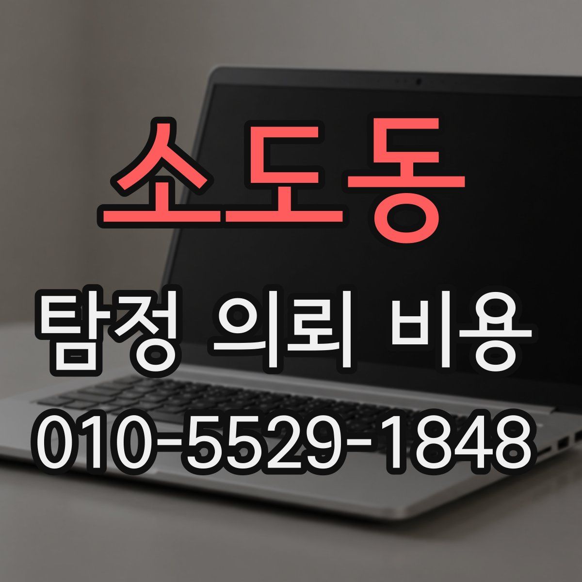 소도동 탐정 의뢰 비용