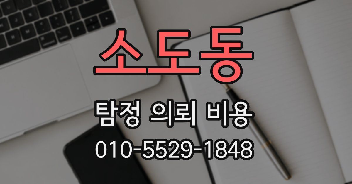 소도동 탐정 의뢰 비용