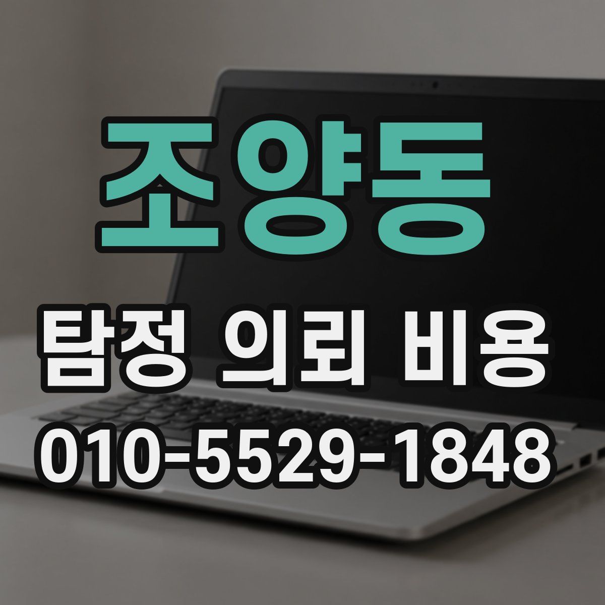 조양동 탐정 의뢰 비용