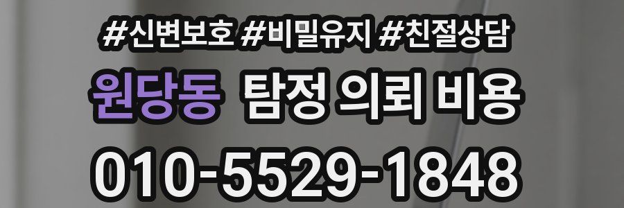 원당동 탐정 의뢰 비용