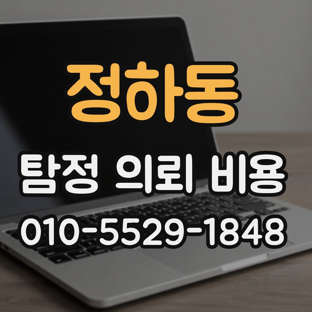 정하동 탐정 의뢰 비용