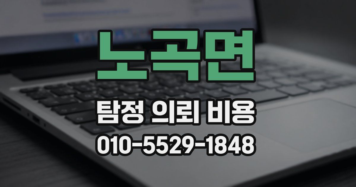 노곡면 탐정 의뢰 비용