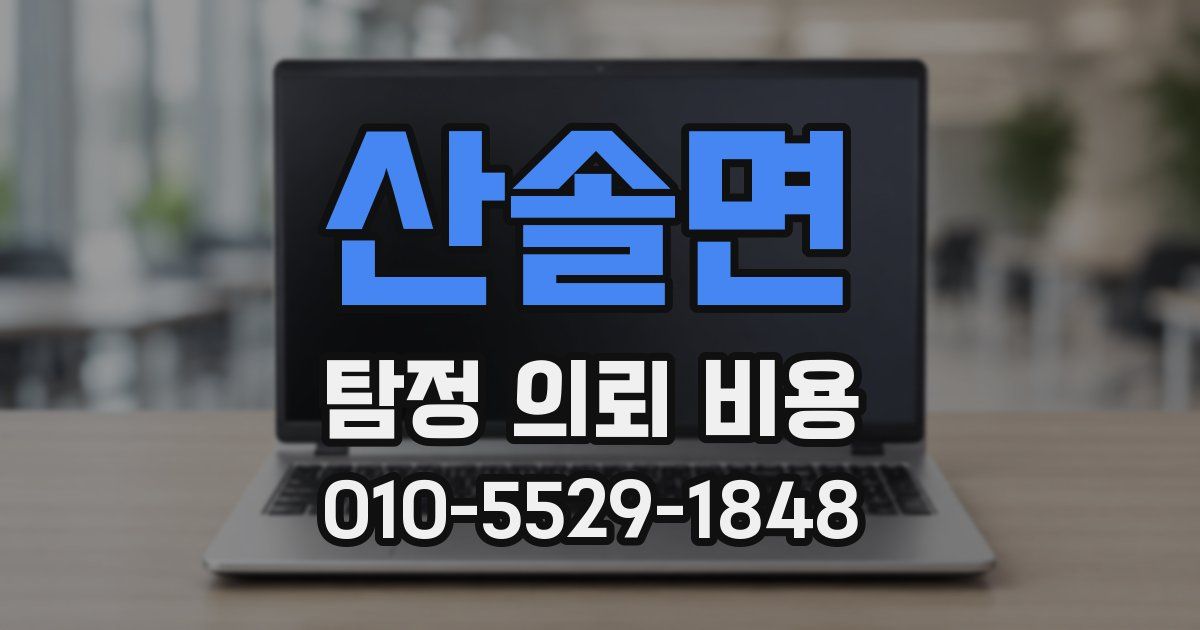 산솔면 탐정 의뢰 비용