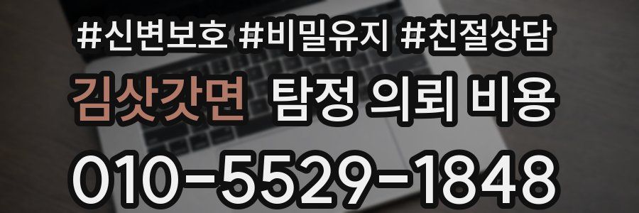 김삿갓면 탐정 의뢰 비용