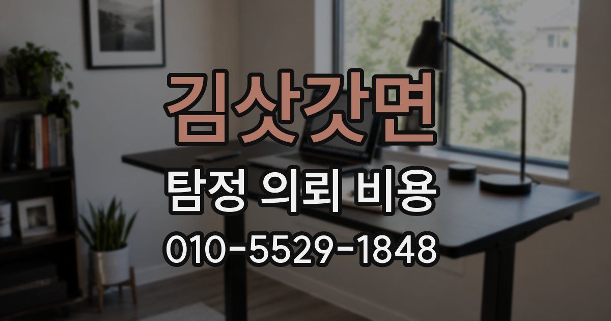 김삿갓면 탐정 의뢰 비용